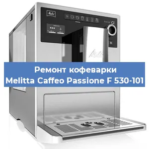 Чистка кофемашины Melitta Caffeo Passione F 530-101 от накипи в Ростове-на-Дону